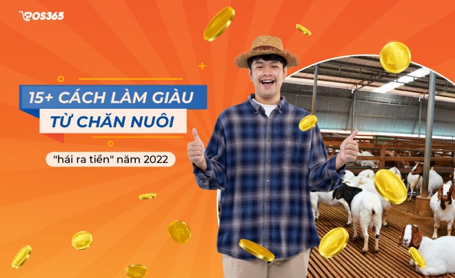 Gợi ý 15+ cách làm giàu từ chăn nuôi "hái ra tiền" năm 2024