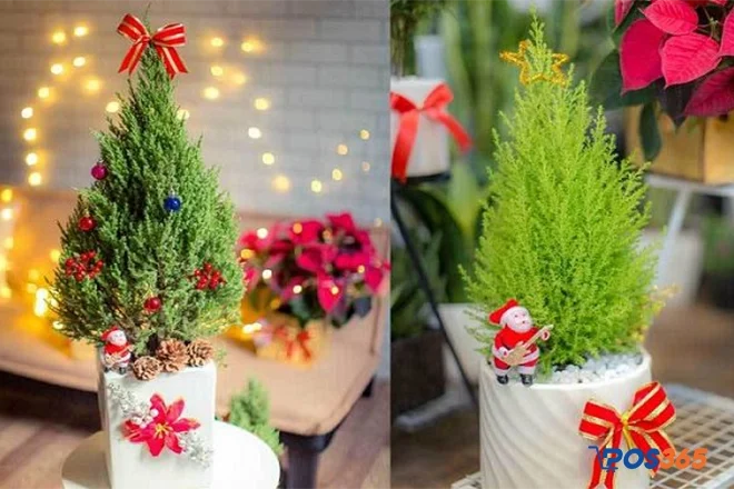 trang trí noel ngoài trời