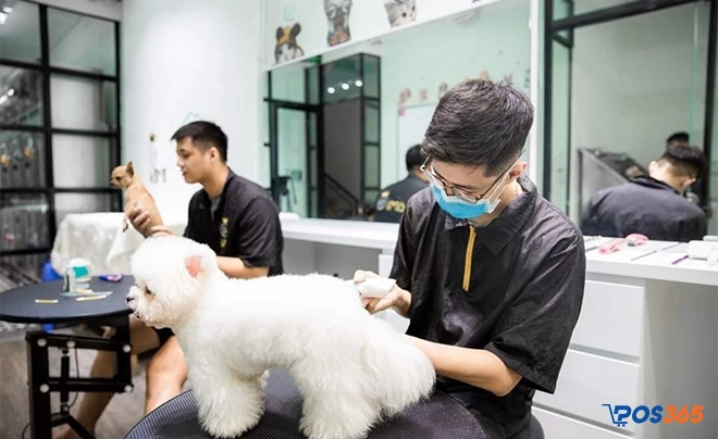 Cửa hàng chăm sóc thú cưng chất lượng Kimi Pet