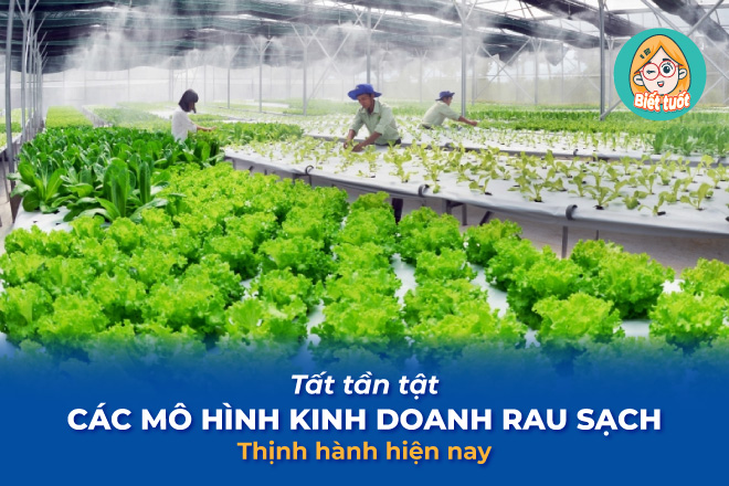 Tất tần tật các mô hình kinh doanh rau sạch thịnh hành hiện nay