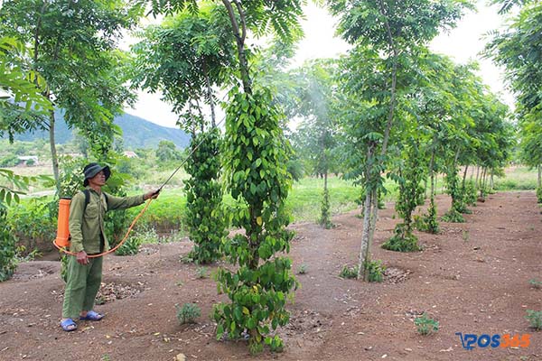 Công ty TNHH Thương mại và Dịch vụ Nông nghiệp An Đô