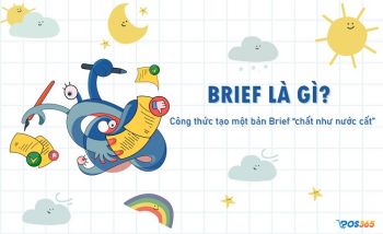 Brief là gì? Công thức tạo một bản Brief chất như nước cất