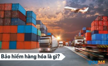 Bảo hiểm hàng hoá là gì? Tìm hiểu thông tin chi tiết từ A đến Z