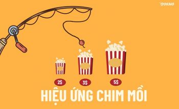 Hiệu ứng chim mồi - Bí kíp bán hàng cực đỉnh trong Marketing