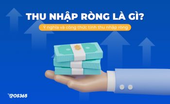 Thu nhập ròng là gì? Ý nghĩa và công thức tính thu nhập ròng