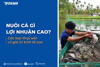 Nuôi cá gì lợi nhuận cao? Các loại thuỷ sản có giá trị kinh tế cao