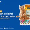 Cập nhật 7 địa chỉ bán thức ăn cho mèo uy tín nhất tại Sài Gòn