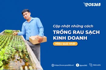 Cập nhật những cách trồng rau sạch kinh doanh hiệu quả nhất 2024